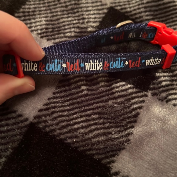 X-Small Dog Collar
